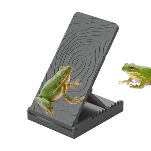 Bomefoi Wasserschildkröten Kletterrampe - Eidechsen Kletterschiefer Terrarium Habitat - Terrarium-Zubehör Für Reptilienliebhaber Mit Ruheplatz, Spielbereich & Fütterungszone Für Echsen, Geckos Und Bomefoi Wasserschildkröten Kletterrampe - Eidechsen Kletterschiefer Terrarium Habitat - Terrarium-Zubehör Für Reptilienliebhaber Mit Ruheplatz, Spielbereich & Fütterungszone Für Echsen, Geckos Und von Bomefoi