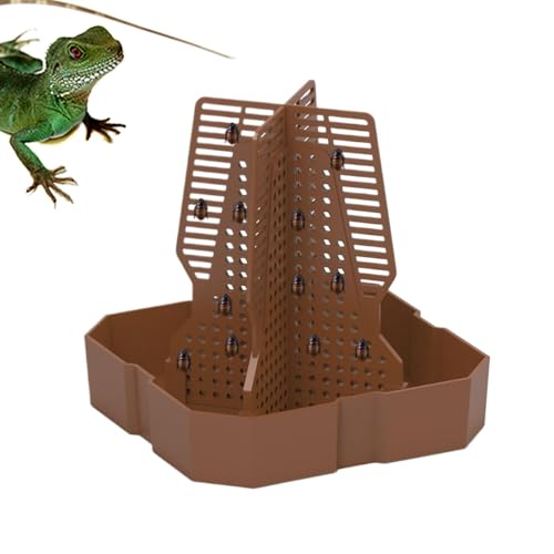 BommFu Bärtige Drachenfutterschale | Reptilienfutterschale | Kletterbares Fütterungsgericht Für Kleines Tier | Kletterfutter Mit Kleinem Tier Mit Leiter - Fütterungsschalen Für Eidechsen, Frösche von BommFu
