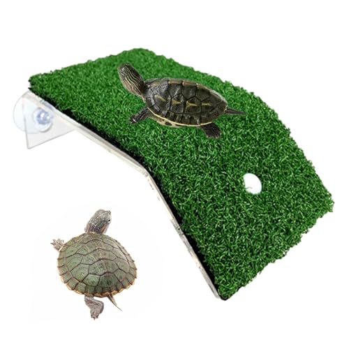 BommFu Schildkrötendocks Zum Sonnen | Schildkrötenrampen Für Aquarien | Mehrzweck-Dekorationen Für Schildkrötenbecken | Schildkröten-Sonnenbereich - Kompakte Schildkrötenrampe, Zubehör BommFu Schildkrötendocks Zum Sonnen | Schildkrötenrampen Für Aquarien | Mehrzweck-Dekorationen Für Schildkrötenbecken | Schildkröten-Sonnenbereich - Kompakte Schildkrötenrampe, Zubehör von BommFu