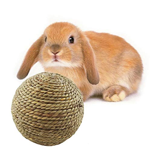 Bongles Kaninchen Kauen Spielzeug Naturrasen Kugel Kleintiere Zahnreinigung Spielzeug Kaninchen-Katzen Kleine Nagetiere Zähneknirschen Spielzeug Tierbedarf 6cm Bongles Kaninchen Kauen Spielzeug Naturrasen Kugel Kleintiere Zahnreinigung Spielzeug Kaninchen-Katzen Kleine Nagetiere Zähneknirschen Spielzeug Tierbedarf 6cm von Bongles