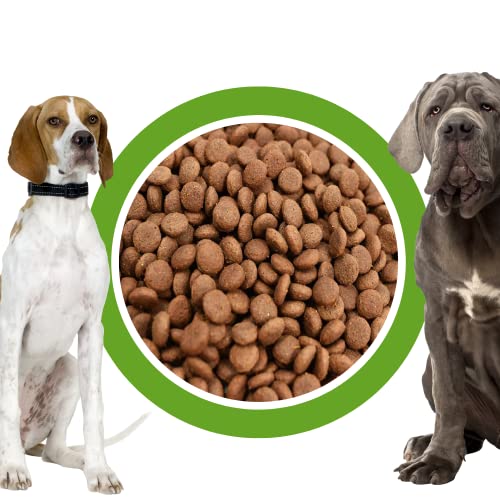 Perfecto Dog Lamm & Reis 15kg Trockenfutter Perfecto Dog Lamm & Reis 15kg Trockenfutter von Boni-Shop