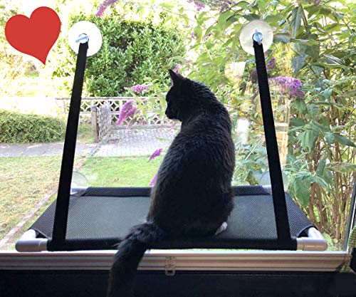 Premium Fensterplatz für die zufriedene Katze Katzenliege 360° Ausblick Hängematte Fensterliege Sonnenbad Katzenhängematte Fensterliegeplatz Fenster Bett Fensterbank hängend Saugnäpfen bis 15KG Premium Fensterplatz für die zufriedene Katze Katzenliege 360° Ausblick Hängematte Fensterliege Sonnenbad Katzenhängematte Fensterliegeplatz Fenster Bett Fensterbank hängend Saugnäpfen bis 15KG von Bonn-Design