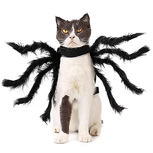 Boodtag Halloween-Kostüm, schwarzer Spinnenumhang, Katzen, Welpen, Hund, lustiges Outfit, Kostüm, Party-Requisiten (schwarz, klein) von Boodtag