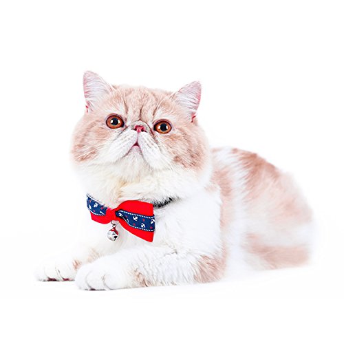 Boodtag Hunde Fliege Kragen mit Schleife Schelle Krawatte Haustier Halskette Schal Handtuch Haustier Katze Verstellbare Bowtie von Boodtag