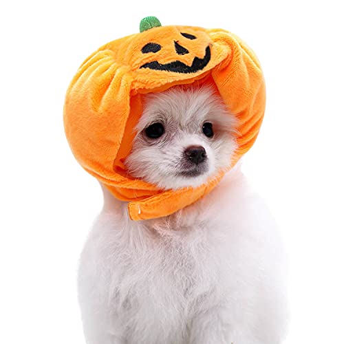 Boodtag Hundekürbis Mütze Halloween Bekleidung Haustier Halloween Kürbis Hut Kostümzubehör von Boodtag