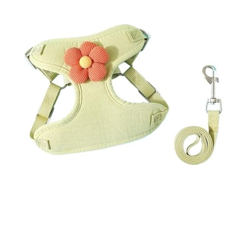 DCNIYT Hundeleine, Kätzchen und Welpen können verwendet werden, um das Platzen des Herumlaufens zu verhindern, um die Sicherheit Ihres Haustiers zu gewährleisten (Grün, XL (7,5–14 kg)) von BooeDareno