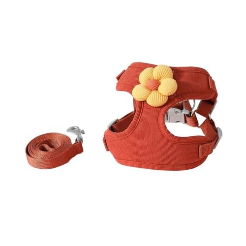 DCNIYT Hundeleine, Kätzchen und Welpen können verwendet werden, um das Platzen des Herumlaufens zu verhindern, um die Sicherheit Ihres Haustiers zu gewährleisten (Rot, M (2–5 kg)) von BooeDareno