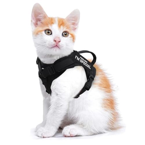DCNIYT Nylon-Katzengeschirr mit 2 Aufklebern, Militär-Katzengeschirr mit Griff, Katzen, kleine Hunde, Haustier-Training, Spazierengehen, Chihuahua, Schwarz von BooeDareno
