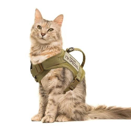 DCNIYT Nylon-Katzengeschirr mit 2 Aufklebern, Militär-Katzengeschirr mit Griff, für Katzen, kleine Hunde, Haustier-Training, Spazierengehen, Chihuahua, Khaki von BooeDareno