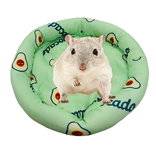 1 x rundes kühlendes Hamsterbett für Hamster, Igel, Eichhörnchen, Mäuse, Ratten, Eichhörnchen, Meerschweinchen und andere Kleintiere, grüne Avocado 1 x rundes kühlendes Hamsterbett für Hamster, Igel, Eichhörnchen, Mäuse, Ratten, Eichhörnchen, Meerschweinchen und andere Kleintiere, grüne Avocado von Booge