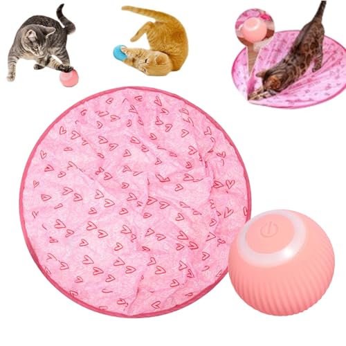 Bookwarm Simuliertes Interaktives Katzenball Gitarre Katzenspielzeug, Jagd Katze Matte Spielzeug 2 In 1 Gertar Katzenspielzeug Mit Selbstrollender Ball Interaktives Katzenspielzeug Bookwarm Simuliertes Interaktives Katzenball Gitarre Katzenspielzeug, Jagd Katze Matte Spielzeug 2 In 1 Gertar Katzenspielzeug Mit Selbstrollender Ball Interaktives Katzenspielzeug von Bookwarm