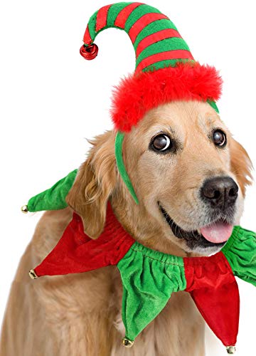 BoomBone Hunde-Elfenmütze, Stirnband und Weihnachts-Halsband mit Glöckchen von BoomBone