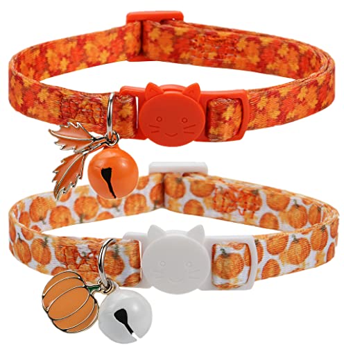 Fall Katzenhalsband mit Glöckchen, Herbst Hundehalsband für kleine Hunde, Orange Kürbis Kätzchen Halsband für Thanksgiving von BoomBone