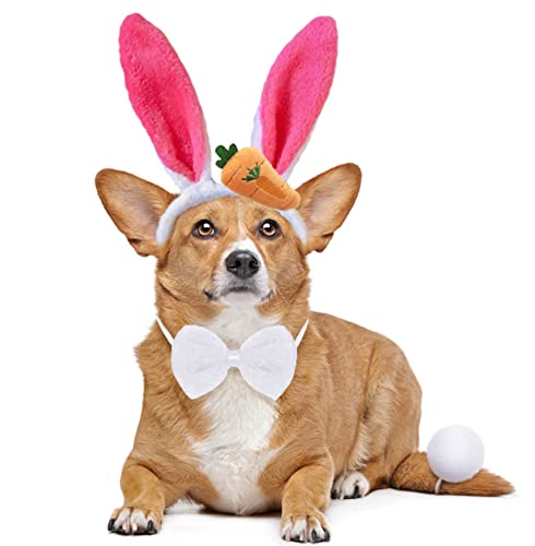 Hunde-Hasenohren und Hunde-Fliege, Oster-Outfit von BoomBone