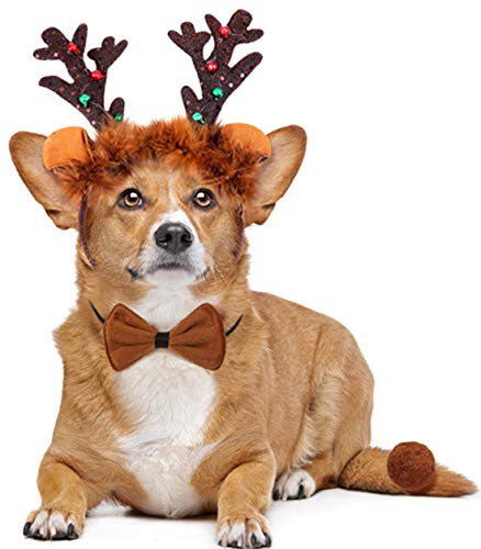 Rentierkostüm für Hunde, Weihnachten, Rentier, Geweih, Haarreif, Schwanz und Halsband mit Fliege von BoomBone