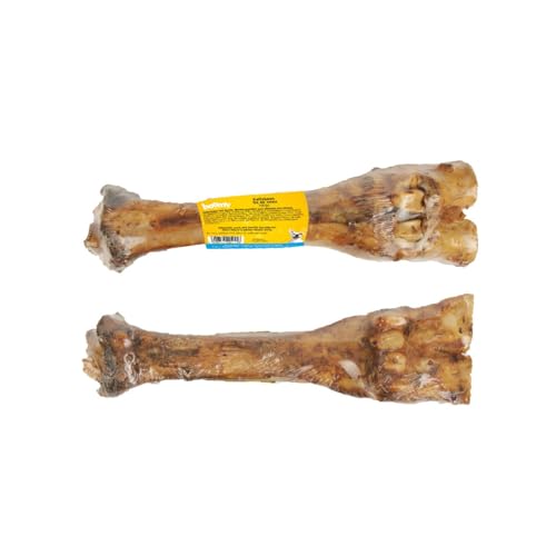 Boomy - Kalbbein - Natürlicher Kauknochen für Hunde - 100% Rind - Hundesnacks für mittelgroße bis große Hunderassen - 2 x 1 Stück Boomy - Kalbbein - Natürlicher Kauknochen für Hunde - 100% Rind - Hundesnacks für mittelgroße bis große Hunderassen - 2 x 1 Stück von Boomy