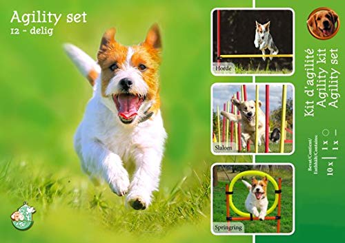 Boon Agility-Set 6X stok 1x springring en 1x Agility-Horde. von Boon