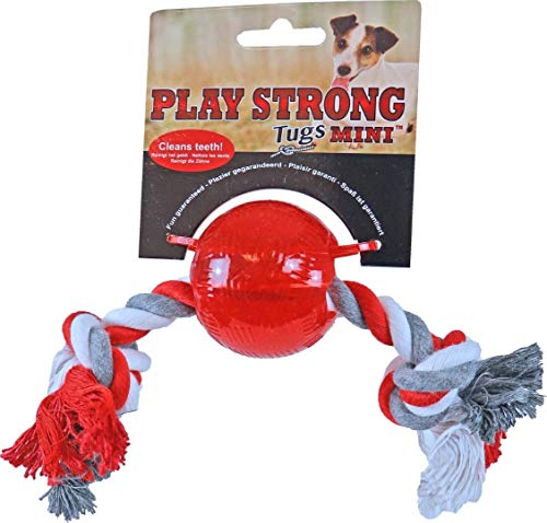 Play Strong Rubber Mini bal met Floss 6 cm Rood von Boon