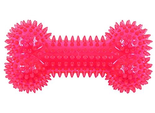 Boowhol Kauspielzeug Hunde Spiel-Spaß – TPR Gummi Ungiftig Knochen für Hunde Training Hund Ball Spielzeug (Rouge) von Boowhol