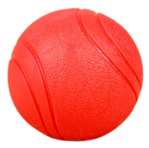 Naturgummiball Hundeball Spiel-Spaß – Kau-Ball/Kauspielzeug/Gummiball Solide TPR Bouncy Ball Kauspielzeug für Hunde Training Hund Auftrieb Ball Spielzeug, Nicht Faule Kugel (Durchmesser 5cm) von Boowhol