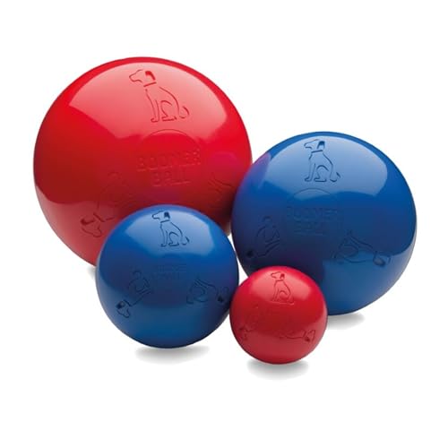 BOOMER BALL - Fast unzerstörbarer Hundeball, schwimmt auf dem Wasser, Ideal für bewegungsfreudige und energiegeladene Hunde, robustes & langlebiges Hundespielzeug (Größe 25cm, Blau oder Rot) von Company of Animals