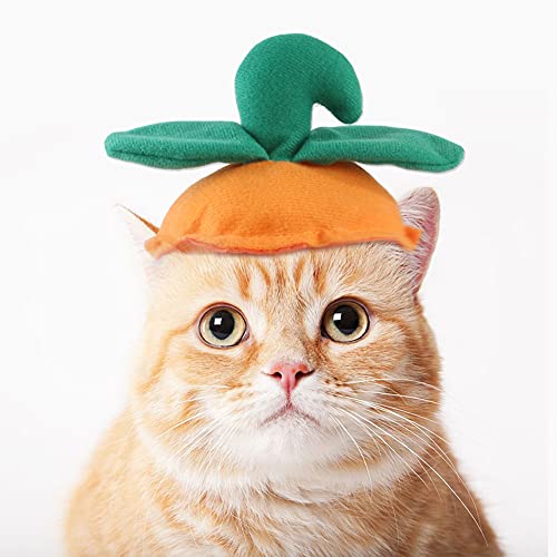 Bosixty Katzenbekleidung Accessoires, Halloween Hüte für Hunde und Katzen, Kürbishauben mit grünen Blättern, katzenkostüm für Katzen Halloween lustiger Design haustierhut von Bosixty