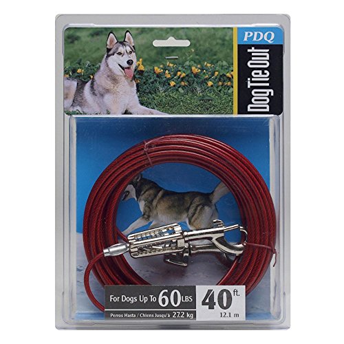 Boss Pet Products Q3540 SPG 99 Kabelleine für Hunde, 102 cm, groß, 3 Stück Boss Pet Products Q3540 SPG 99 Kabelleine für Hunde, 102 cm, groß, 3 Stück von Boss Pet
