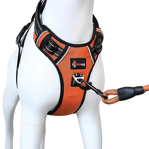 Bossdog Hundegeschirr und Leine, kein Ziehen, kein Ziehen, für kleine, mittelgroße, große und welpe Hunde, mit stabilem Tragegriff oben und reflektierenden Streifen, Größe M, Orange Bossdog Hundegeschirr und Leine, kein Ziehen, kein Ziehen, für kleine, mittelgroße, große und welpe Hunde, mit stabilem Tragegriff oben und reflektierenden Streifen, Größe M, Orange von Bossdog