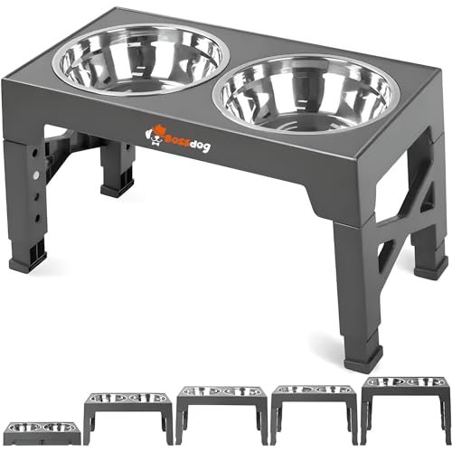 Bossdog Verstellbare, erhöhte Hundenäpfe mit Ständer, Premium-Hunde-Futternapfständer mit verstellbarer Höhe und rutschfestem Design, verfügt über zwei Edelstahl-Futternäpfe (grau) von Bossdog