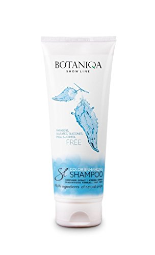 Botaniqa Show Line Color Enhancing Shampoo für Hunde mit weißem oder hellem Fell, parfümfrei, für Reinigung und Farbverbesserung, Hundeshampoo, Tierhaarshampoo Botaniqa Show Line Color Enhancing Shampoo für Hunde mit weißem oder hellem Fell, parfümfrei, für Reinigung und Farbverbesserung, Hundeshampoo, Tierhaarshampoo von Botaniqa