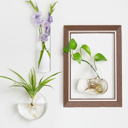 Bouqlife Pflanzgefäße aus Glas, Wandbehang, Terrarium mit Bilderrahmen, Pflanzenzuchtstation, Glas-Blumenvase für Hydrokulturpflanzen, 3 verschiedene Formen, brauner Rahmen, 3 Stück von Bouqlife