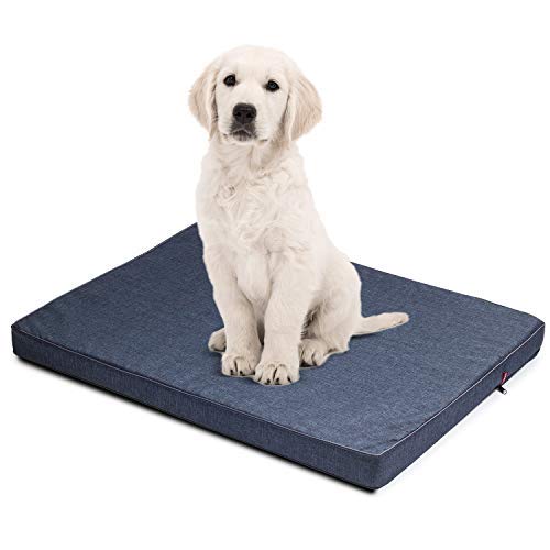 BOUTIQUE ZOO Hundematratze für Hunde | M: 88 x 65 x 6 cm | Hundesofa Hundekissen Hundematte für groß und klein | Codurastoff | Elegant | Waschbar | Farbe: Blau von BOUTIQUE ZOO