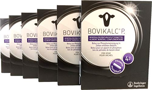 Bovikalc® P. 6 x 4 Boli - Vorteilspack - Phosphorbolus mit Monokalziumphosphat von Ewbob