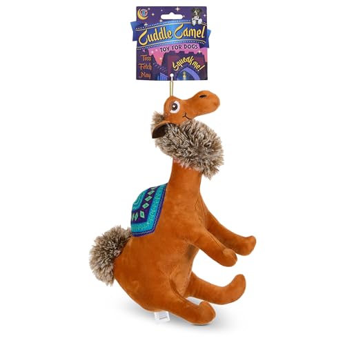 Bow Wow Fantasy Creature Plüsch-Hundespielzeug, quietschender und knisternder Dino oder Drache, Werfen, Apportieren und Spielen, weich und langlebig, Farben können variieren von Bow Wow Pet