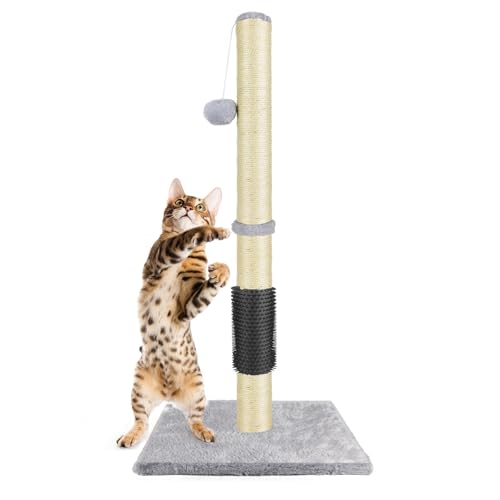 Kratzbaum 80 cm, Sisal-Kratzstange und mit Plüschteppich bezogene Basis, Selbstpflegegerät, Katzenkratzbaum für Hauskatzen und Kätzchen mit hängendem Ballspielzeug Kratzbaum 80 cm, Sisal-Kratzstange und mit Plüschteppich bezogene Basis, Selbstpflegegerät, Katzenkratzbaum für Hauskatzen und Kätzchen mit hängendem Ballspielzeug von Bowose