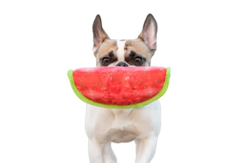 BoxDog Tough Chewer Hundespielzeug, Hundespielzeug und Hunderinge für aggressive Kauer (Wassermelone) von BoxDog