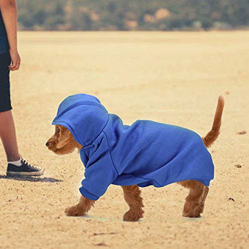 Boxwizard Niedlicher Polyester-Haustier-Winter-Warmer Hoodie-Sweatshirt-Kleidungs-Mantel für Hundewelpen-Katzen (XXL) von Boxwizard