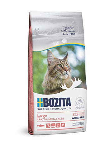 Bozita Large Weizenfrei Lachs – 2 kg Trockenfutter für große Katzenrassen – weizenfreies Katzenfutter mit 31 % Protein & 18 % Fett – für sensible Katzen – ohne Zucker & Gentechnik von Bozita