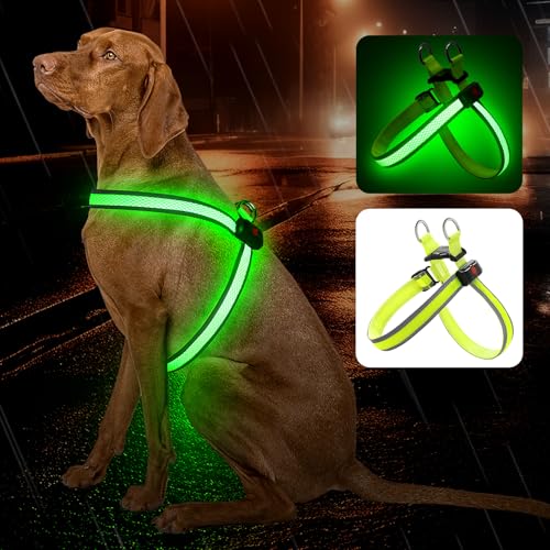 LED-Hundegeschirr, Netzgewebe, wiederaufladbar über USB (Grün, XS) von Bpawser