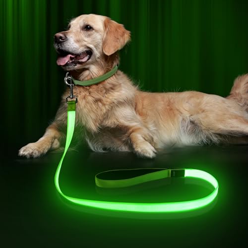 LED Hundeleine, Bpawser Light Up Hundeleine Micro USB wiederaufladbar, Nylon Gurtband leuchtende Sicherheit Standard Hundeleinen für Hunde 120 cm 4 Fuß (Grün) von Bpawser
