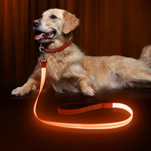 LED Hundeleine, Bpawser Light Up Hundeleine Micro USB wiederaufladbar, Nylon Gurtband leuchtende Sicherheit Standard Hundeleinen für Hunde 120 cm 4 Fuß (Orange mit 3 reflektierenden Drähten) von Bpawser