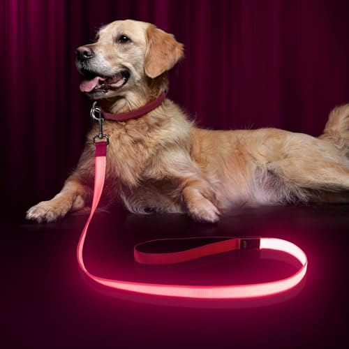 LED Hundeleine, Bpawser Light Up Hundeleine Micro USB wiederaufladbar, Nylon Gurtband leuchtende Sicherheit Standard Hundeleinen für Hunde 120 cm 4 Fuß (Rosa) von Bpawser