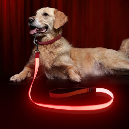 LED Hundeleine, Bpawser Light Up Hundeleine Micro USB wiederaufladbar, Nylon Gurtband leuchtende Sicherheit Standard Hundeleinen für Hunde 120 cm 4 Fuß (Rot) von Bpawser