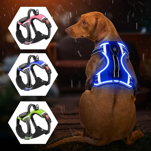 Leuchtendes Hundegeschirr - Kein Ziehen, LED, Wiederaufladbar für Kleine, Mittelgroße und Große Hunde (Blau, XL) von Bpawser