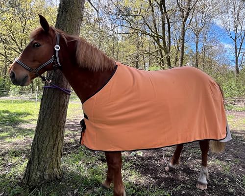 Brama-West Abschwitzdecke Pferd Pferdedecke - Basic Fleecedecke - Atmungsaktiv - Orange, Gr. 145 Brama-West Abschwitzdecke Pferd Pferdedecke - Basic Fleecedecke - Atmungsaktiv - Orange, Gr. 145 von Brama West