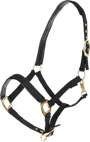 Brama West Halfter Pferd Golden Line | Pferdehalfter mit Goldenen Beschlägen (Schwarz, Full) von Brama West