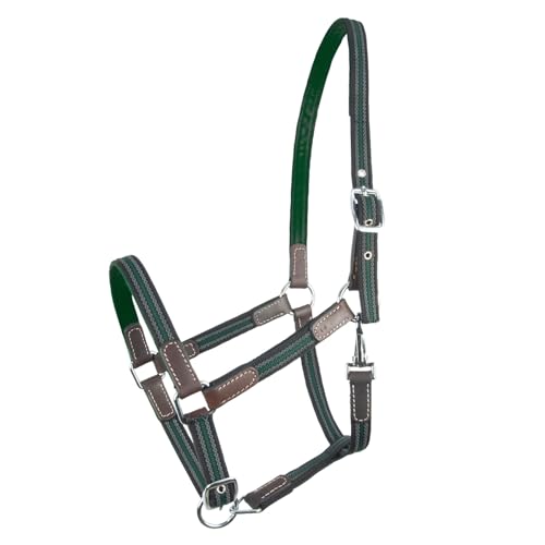 Brama West Halfter Pferd Ruby | 2-Fach verstellbar mit Ledereinsätzen | Weidehalfter Stallhalfter (Grün, Shetty) von Brama West