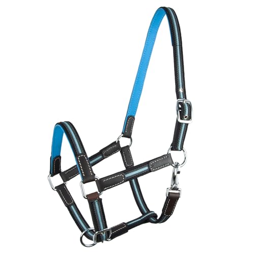 Brama West Halfter Pferd Ruby | 2-Fach verstellbar mit Ledereinsätzen | Weidehalfter Stallhalfter (Hellblau, XFull) von Brama West