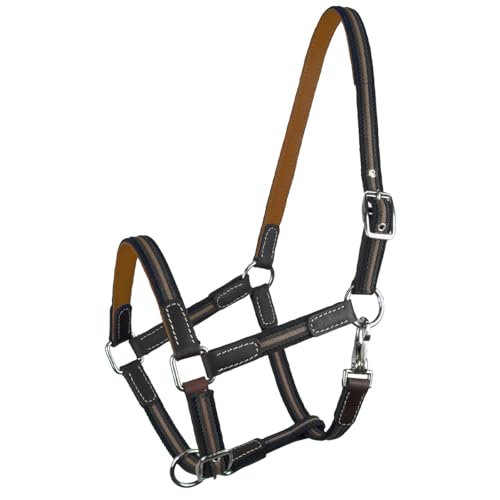 Brama West Halfter Pferd Ruby | 2-Fach verstellbar mit Ledereinsätzen | Weidehalfter Stallhalfter (Orange, XFull) von Brama West
