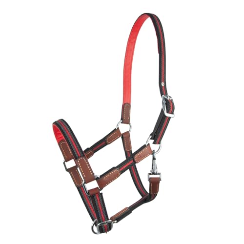 Brama West Halfter Pferd Ruby | 2-Fach verstellbar mit Ledereinsätzen | Weidehalfter Stallhalfter (Rot, Cob) von Brama West